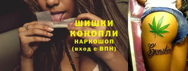 МДПВ Весьегонск