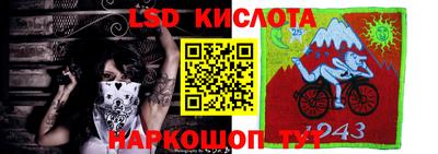 твердый Камышлов