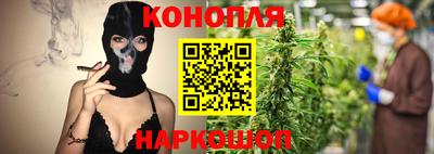 каннабис Кингисепп