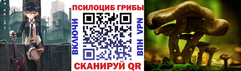 Галлюциногенные грибы Cubensis  Кострома 