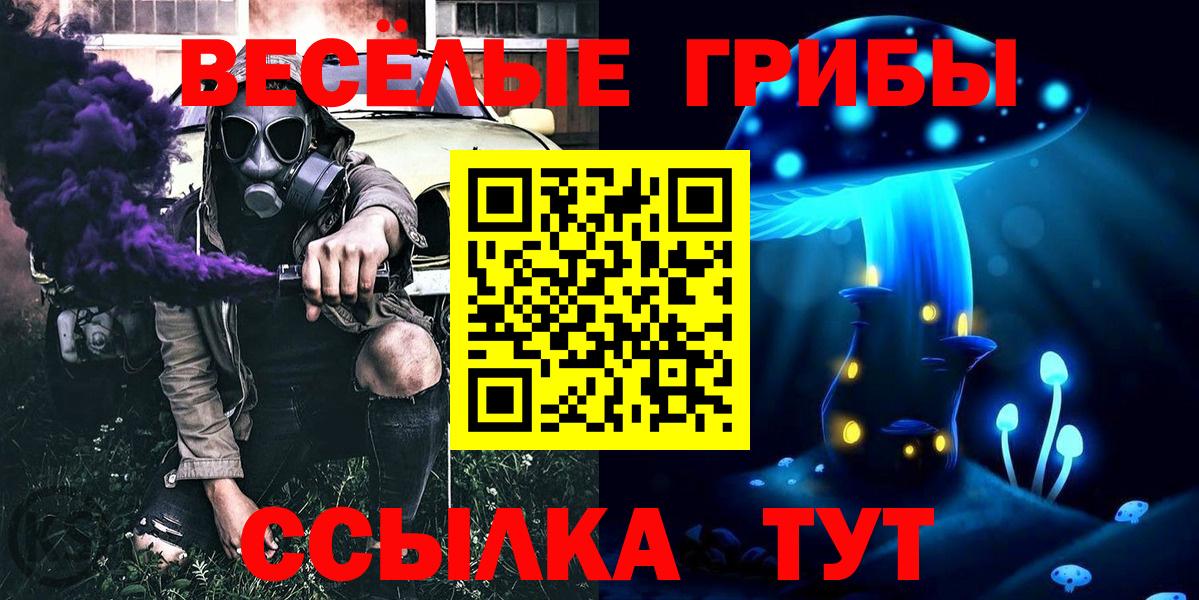 Кострома  Псилоцибиновые грибы ЛСД  Вход с VPN 
